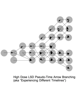 high dose lsd time branching pseudo time arrow